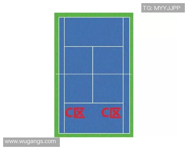 重庆网球队防反体系解析与战术运用探讨