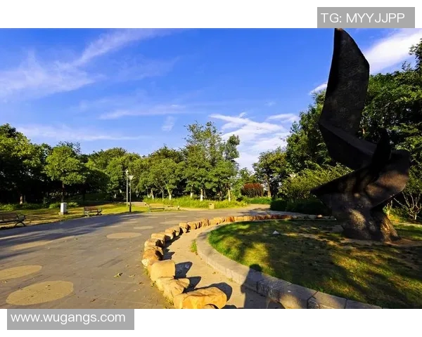 南京极限运动队逆袭之旅全景揭秘挑战自我勇攀高峰的热血故事